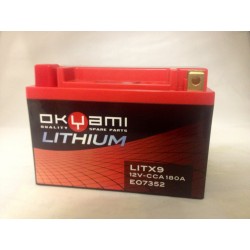 Lithium LITX9 battery...