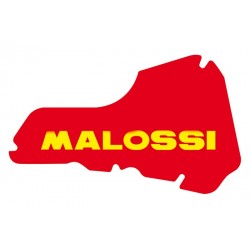 Air filter Malossi 1411425...