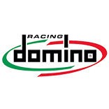 Domino Racing